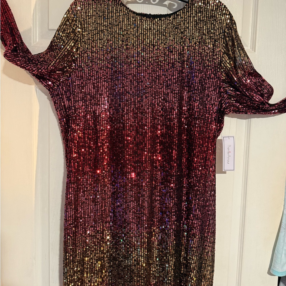 NWT - Long sleeve sequin ombré mini dress